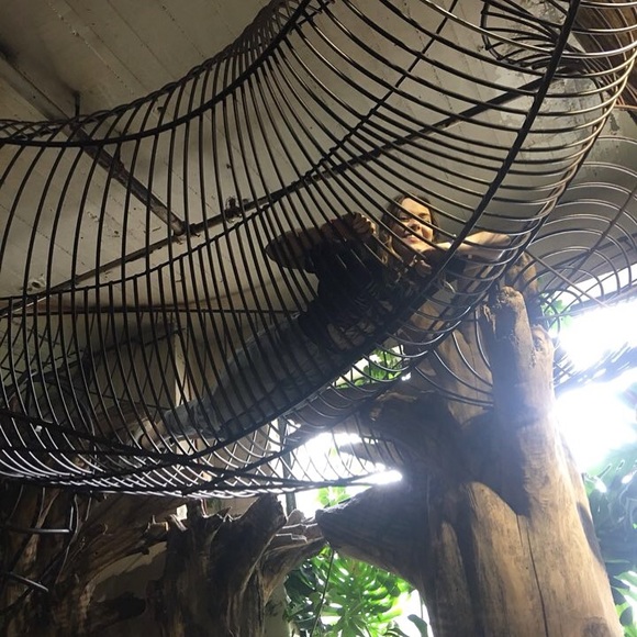 Meet your Poshers, Emma and Joon! - Picture 3 of 3